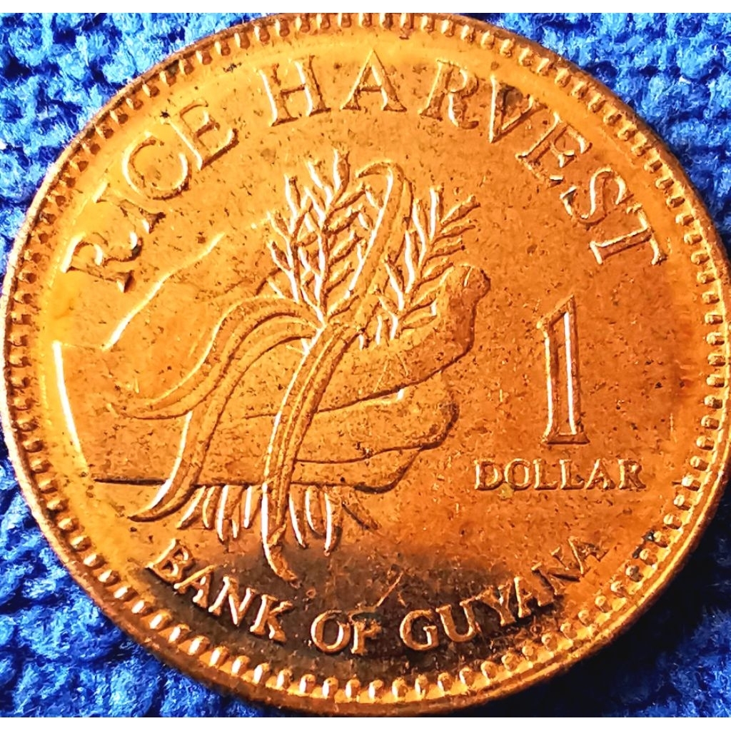 เหรียญ​ไกวยาน่า Guyana, 1 Dollar, ไม่​ผ่าน​ใช้​ UNC, #​2360