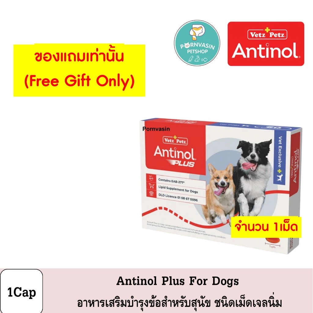(1เม็ด) Antinol Dogs อาหารเสริม บำรุงข้อ สำหรับสุนัข