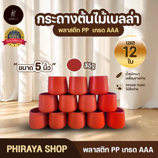 กระถางต้นไม้ เบลล่า มินิมอล 5 7 9 นิ้ว ขายส่งยกโหล พลาสติก PP เกรด AAA