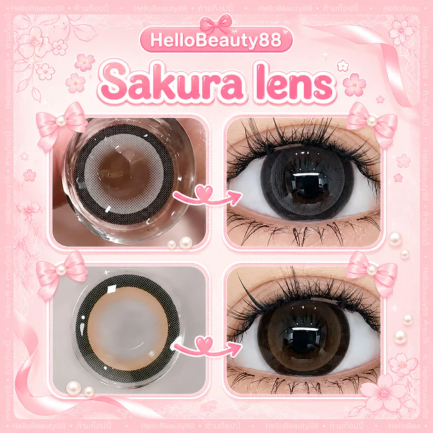 คอนแทคเลนส์ รุ่น Sakura/ Gavin สีเทา/ตาล Gray/Brown มีค่าสายตา (0.00)-(-10.00)