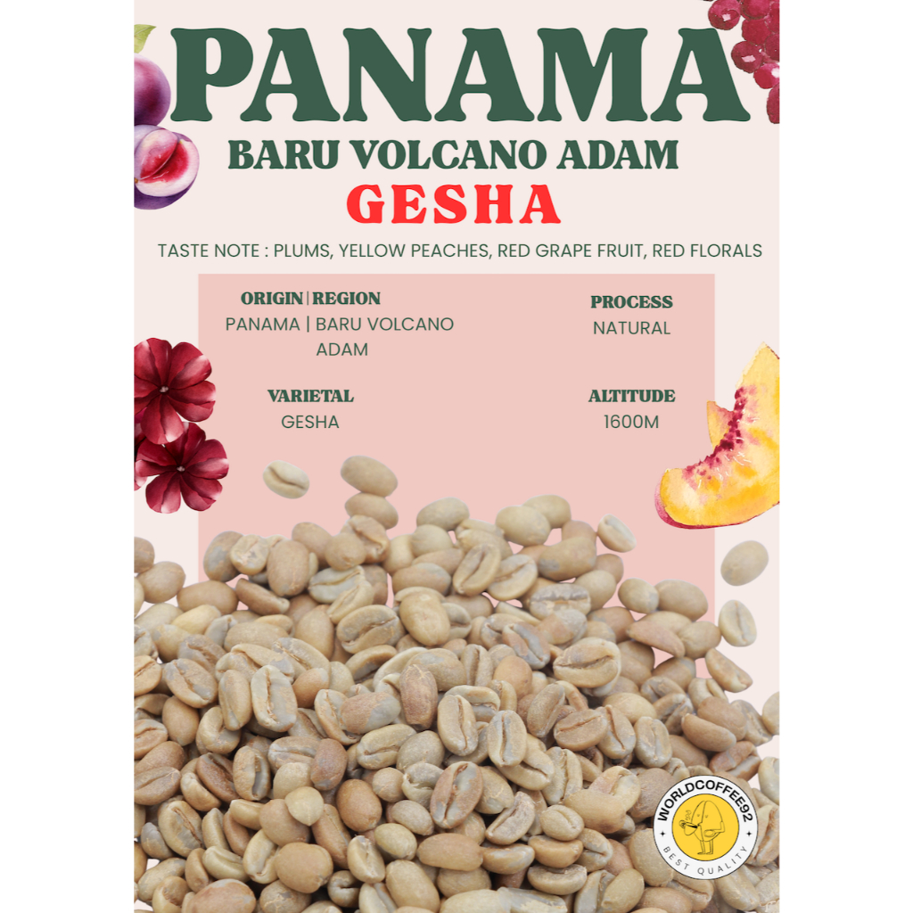 🚚พร้อมส่ง💯 เมล็ดกาแฟดิบ Panama Baru Volcano Adam Gesha Natural process/ เมล็ดกาแฟนอก/ เมล็ดกาแฟสารปา