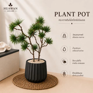 HUAWAN DECOR ต้นสน กิ่งสน ปลอม พร้อมกระถางมินิมอลสีขาวแถมฟรีหินโรยกระถาง