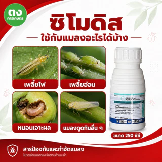 ซิโมดิส ซินเจนทา Syngenta ไอโซไซโคลซีแรม 10% DC 250 ซีซี ของแท้ 100% สารกำจัดแมลง หนอน เพลี้ยไฟ หยุดแมลงดื้อยา คุมนาน