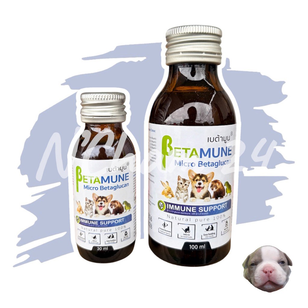 Betamune ขนาด 30ml และ 100ml วิตามิน อาหารเสริม ภูมิคุ้มกันสัตว์เลี้ยง