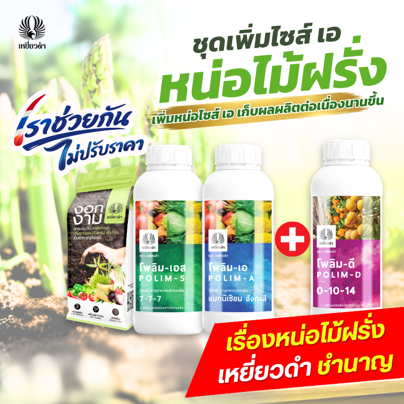 ชุดบำรุงหน่อไม้ฝรั่ง เซ็ท4สหาย เร่งแตกหน่อ ใหญ่อวบ เกรดA จบ ครบ ในชุดเดียว