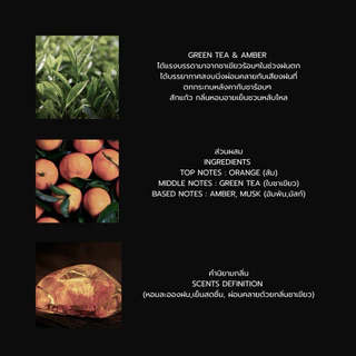 PITCHAYADA FRAGRANCES กลิ่น GREEN TEA & AMBER ขนาด 100 ML EDP