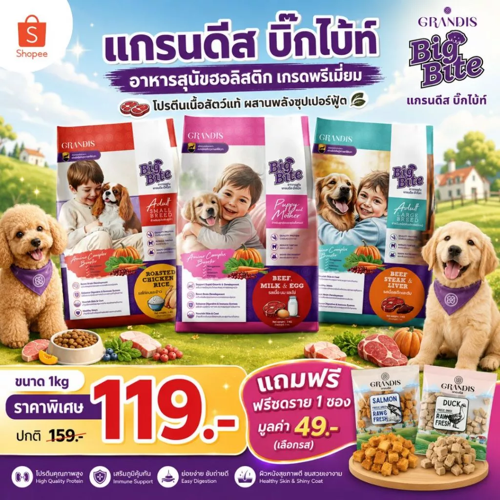 [ซื้อ 1kg แถมฟรีชดราย 1ซอง] อาหารสุนัข แกรนดีสบิ๊กไบ้ท์ 1kg เกรดพรีเมี่ยม ฮอลิสติก GRANDIS BIGBITE