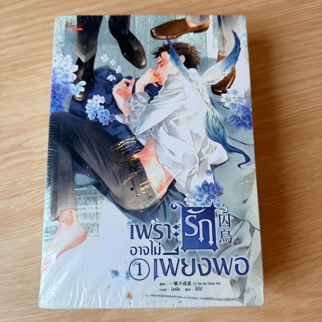 นิยายวาย แปลจีน เพราะรักอาจไม่เพียงพอ เล่ม 1-2 雁不成夏 (Yi Yan Bu Cheng Xia) โดย Yi Yan Bu Cheng Xia ให