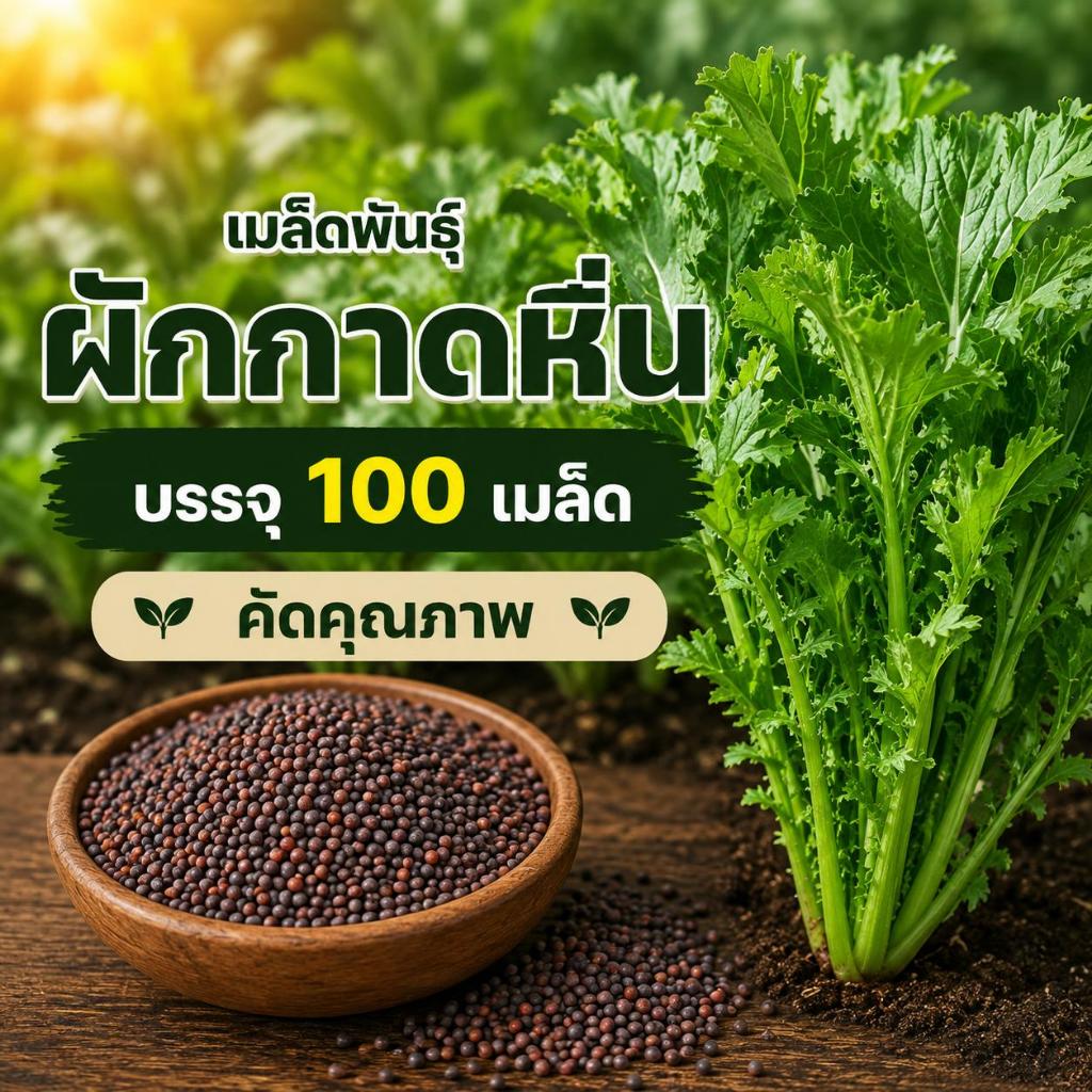 เมล็ดพันธ์ุผักกาดหิ่น ซองละ 150 เมล็ด