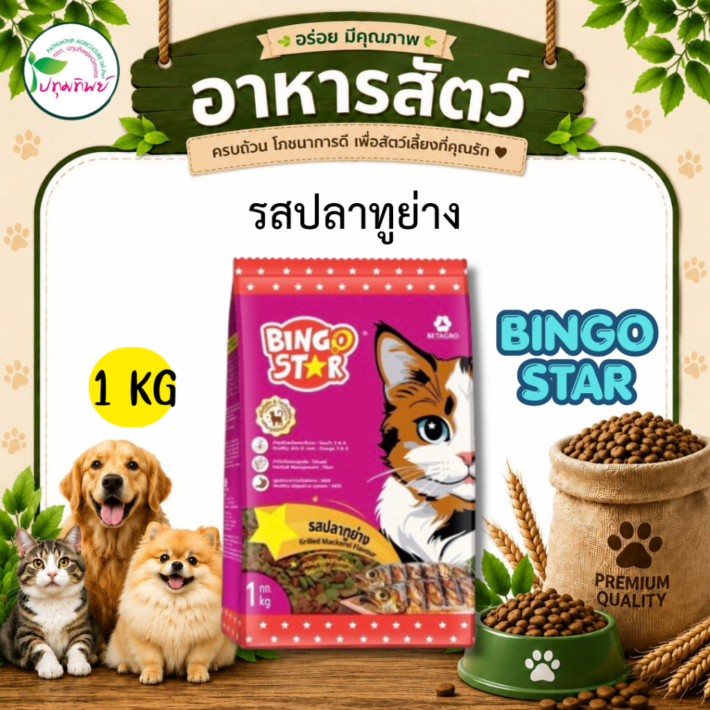 Bingo Star อาหารเม็ดแมวโต ขนาด 1 กิโลกรัม