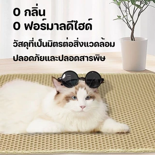 แผ่นดักทรายแมว พรมดักทรายแมว พรม 2 ชั้น EVA ช่วยดัก ทรายแมว ที่ติดตามเท้า แผ่น รอง ทรายแมว แผ่นรองจาน กันรั่ว เบาะ