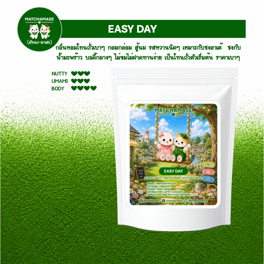 EASY DAY MATCHA - MATCHAMASE มัทฉะมาเสะ