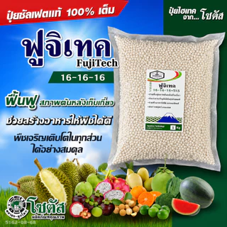 [แบ่งบรรจุ 1 กก.] ปุ๋ย ฟูจิเทค 16-16-16 +5% (Fujitech)พัฒนาจากประเทศญี่ปุ่น ปุ๋ยโซตัส ปุ๋ยฟูจิเทค ปุ๋ยซัลเฟต