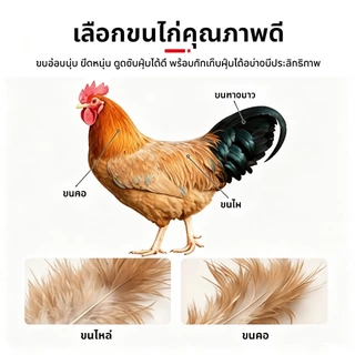 HH ไม้ปัดฝุ่นขนไก่ ด้ามยาว ขนนุ่ม จัดเก็บง่าย ดักฝุ่นดี ไม่ฟุ้งกระจาย ใช้ทำความสะอาดบ้าน/รถยนต์