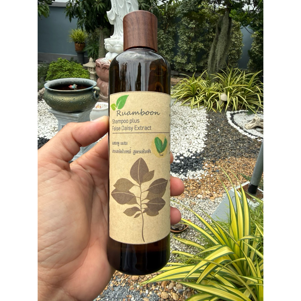 แชมพูสมุนไพรสูตรใบหมี่เข้มข้น 1 ขวด ขนาด 300 ml แฮนเมค (HANDMADE)
