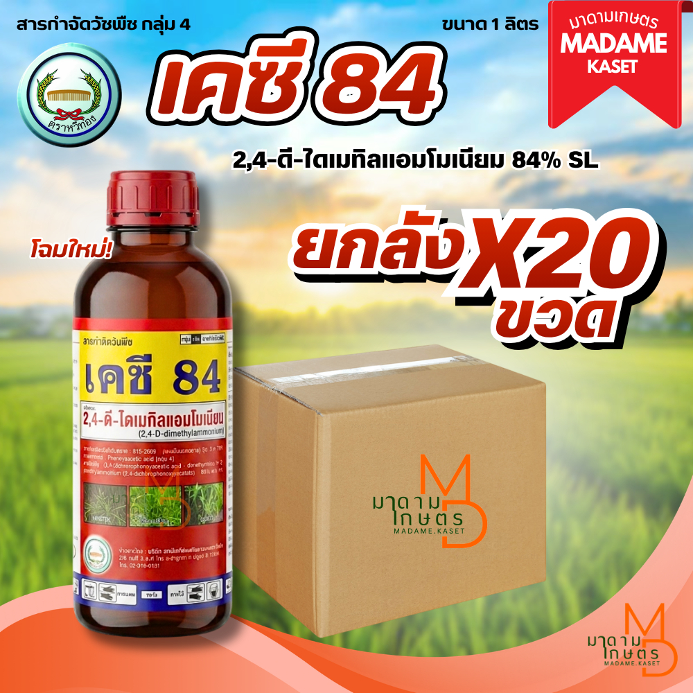 (ยกลังx20ชิ้น) โฉมใหม่! เคซี84 (2,4-ดี ไดเมทิลแอมโมเนียม 84% W/V SL) ขนาด 1 ลิตร ยาฆ่าหญ้าใบกว้าง กก แห้วหมู สูตรเย็น ดู