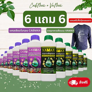 📦ยกลัง [12ขวด] ✅แถมเสื้อปุ๋ย CABMAX+VAMAX แคลเซียมโบรอนเข้มข้ม แถม ปุ๋ยธาตุรวม (V6+C6+เสื้อ)