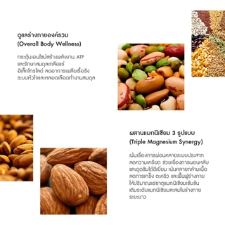 [ 1DayVit ] Magnesium Balance - แมกนีเซียม บาลานซ์