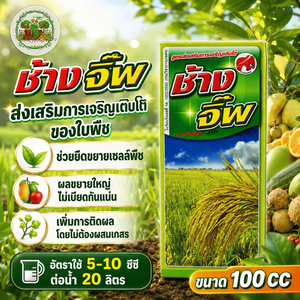 จิ๊บบอเรลลิกแอซิด ช้างจิ๊พ ( ยืดขยายเซลล์พืช ) ยายืด ยืดช่อ ยืดผล ขนาด 100 cc