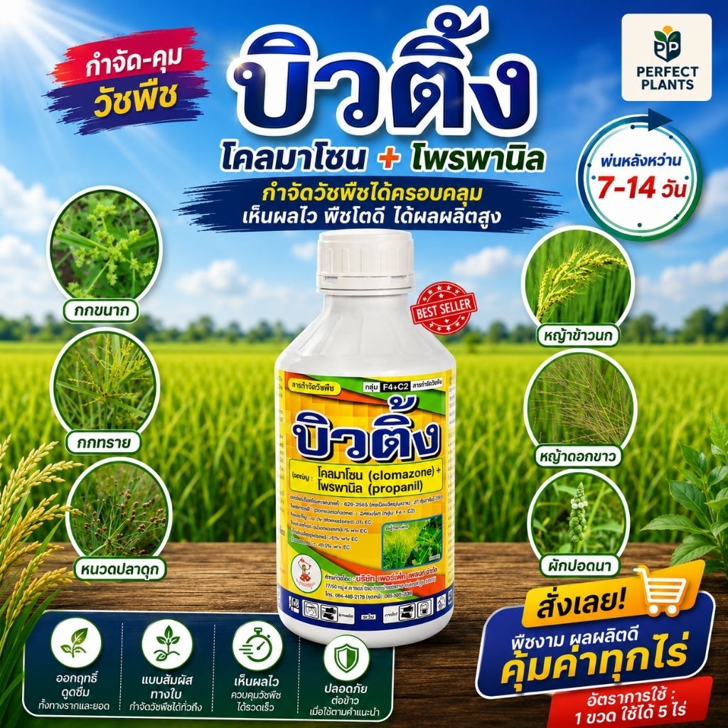บิวติ้ง (โคลมาโซน + โพรพานิล) คุม ฆ่า ในนาข้าว ข้าวไม่แดง ไม่งัน
