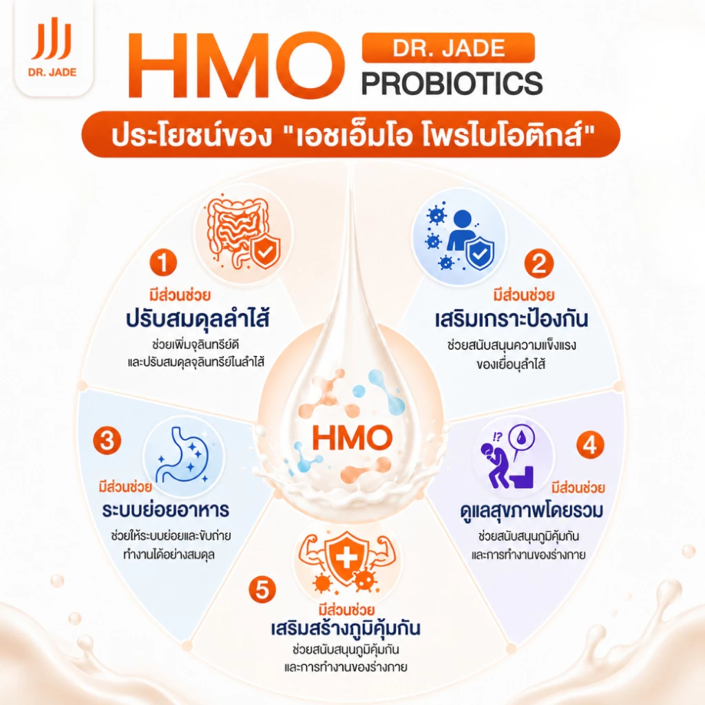 DR.JADE โพรไบโอติกส์ HMO Probiotics 9 สายพันธุ์ อาหารเสริม ปรับสมดุลลำไส้ เสริมภูมิคุ้มกัน ลดตกขาว หมอเจด [10 ซอง] thumbnail 7