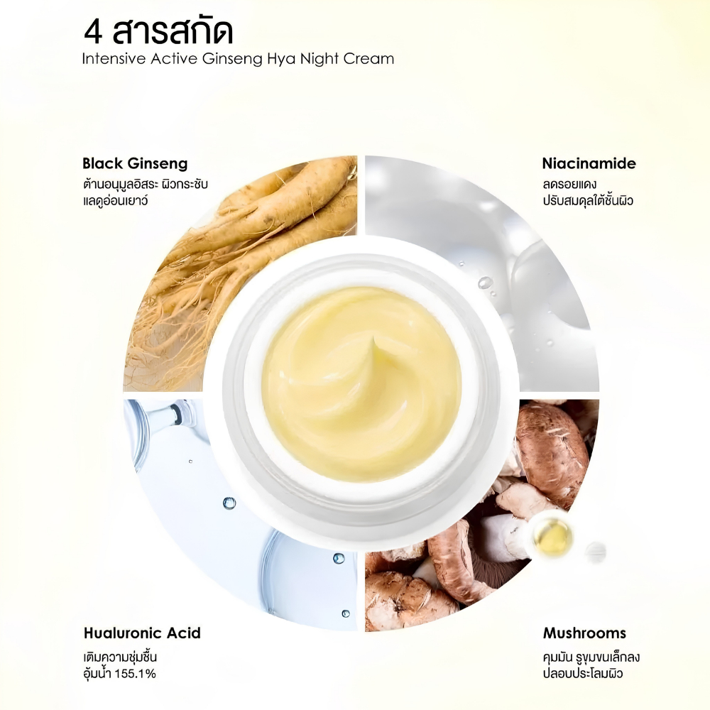 (สูตรใหม่) YERPALL Intensive Active Ginseng Hya Night Cream 10g เยอร์พอล ครีมโสมไฮยา ไนท์ครีม — صورة 6
