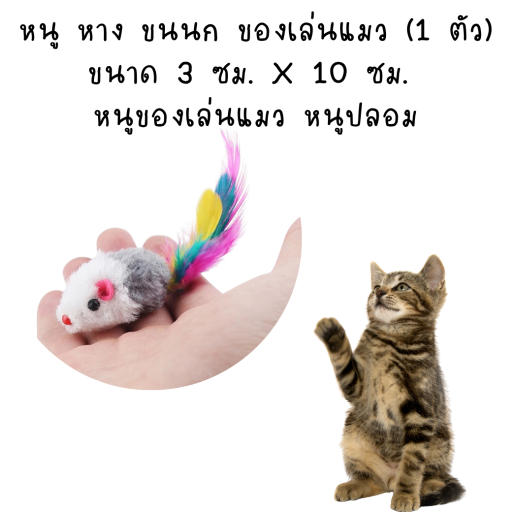 ของเล่นแมว หนูปลอมหางขนนก ของเล่นแมว หนูน่ารักคละลายคละสี ของเล่นน้องแมว 1ชิ้น
