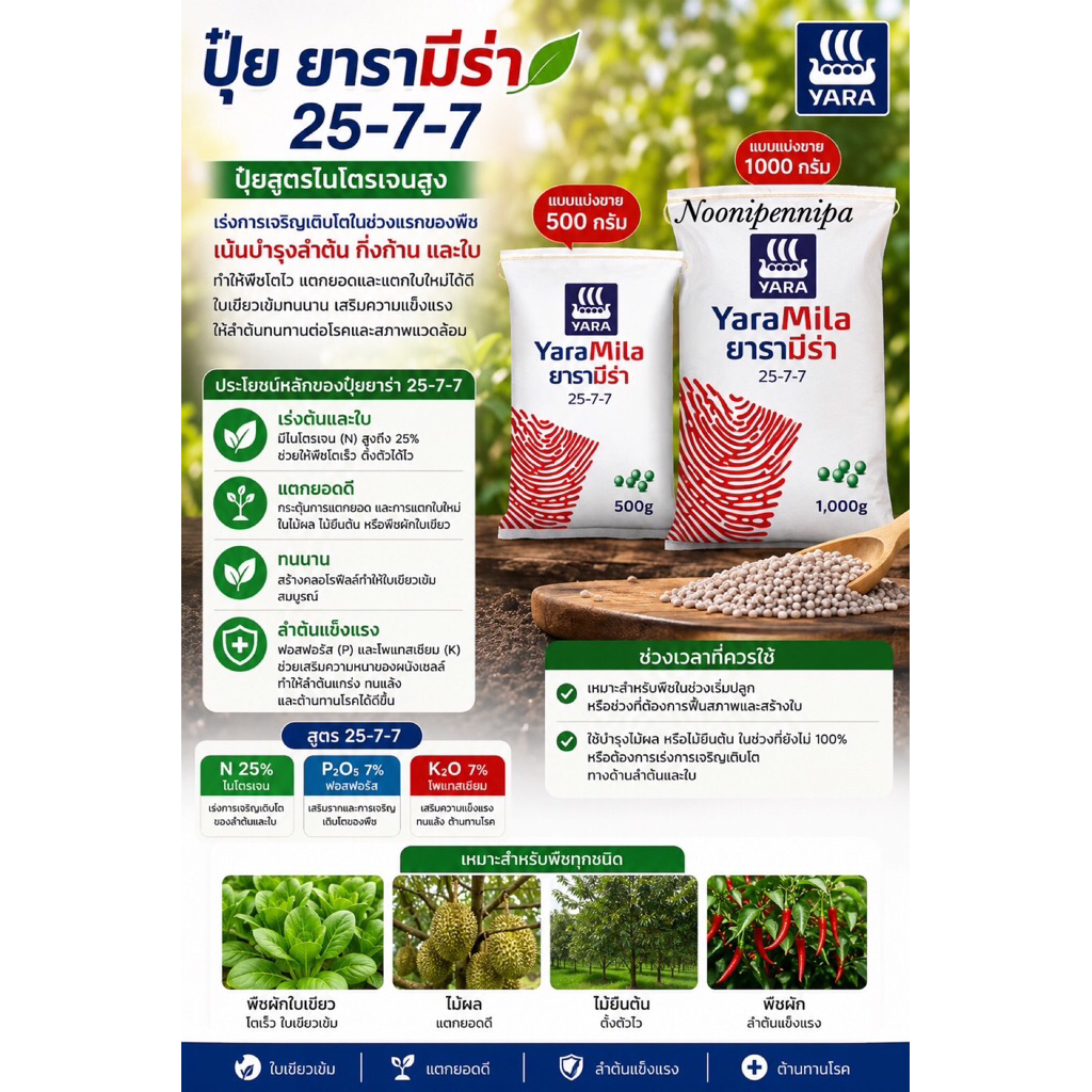 [[แบ่งขาย]]ปุ๋ย ยารามีร่า 25-7-7 สูตรไนโตรเจนสูง เร่งการเจริญเติบโตในช่วงแรกของพืช บำรุงลำต้น กิ่งก้าน และใบ