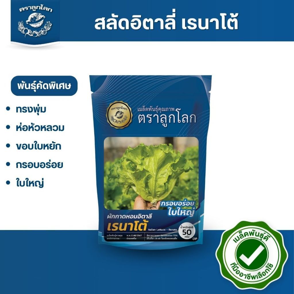 ตราลูกโลก เมล็ดสลัดอิตาลี่ เรนาโต้ Lettuce เมล็ดพันธุ์ผัก ผักสวนครัว ผักซอง ผักสลัด เมล็ดผักสลัด