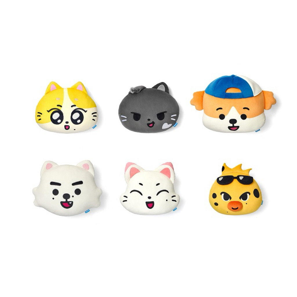 ꒰ พร้อมส่งในไทย ꒱ enchin merch face cushion แท้ 100%