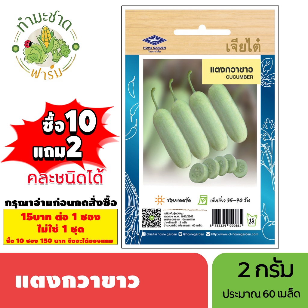 [1ซอง] เจียไต๋ (ซื้อ10แถม2) เมล็ดพันธุ์ แตงกวาขาว ขนาด2กรัม ประมาณ60เมล็ด White Cucumber แตงกวา เมล็ดพันธุ์พืช เมล็ดผัก