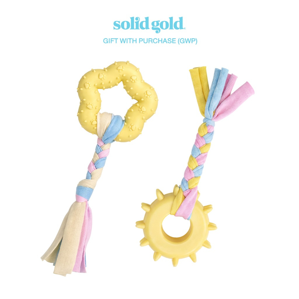 [GIFT] Solid Gold ของเล่นสุนัข ยางกัด (สุ่มลายส่ง)