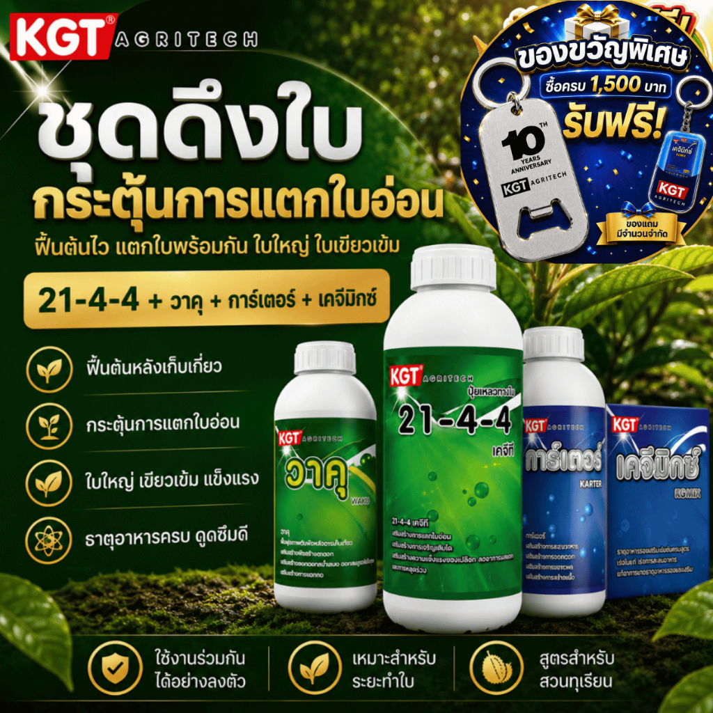 KGT ชุดดึงใบ กระตุ้นการแตกยอดอ่อน ใบใหญ่ ใบเขียวเข้ม ฟื้นต้นหลังเก็บเกี่ยว 21-4-4 + วาคุ + การ์เตอร์