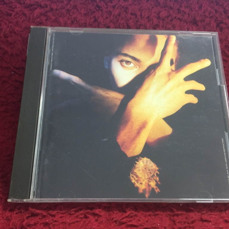 CD Terence Trent D'Arby - Neither Fish Nor Flesh สภาพตามปก CA121-135