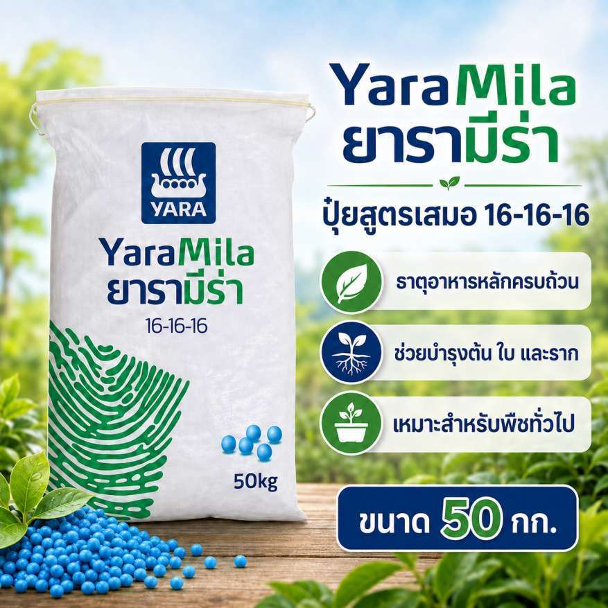 ปุ๋ย YaraMila 16-16-16 ยารามีร่า ปุ๋ยสูตรเสมอ NPK 16-16-16 กระสอบ 50 กก. ปุ๋ยยารา