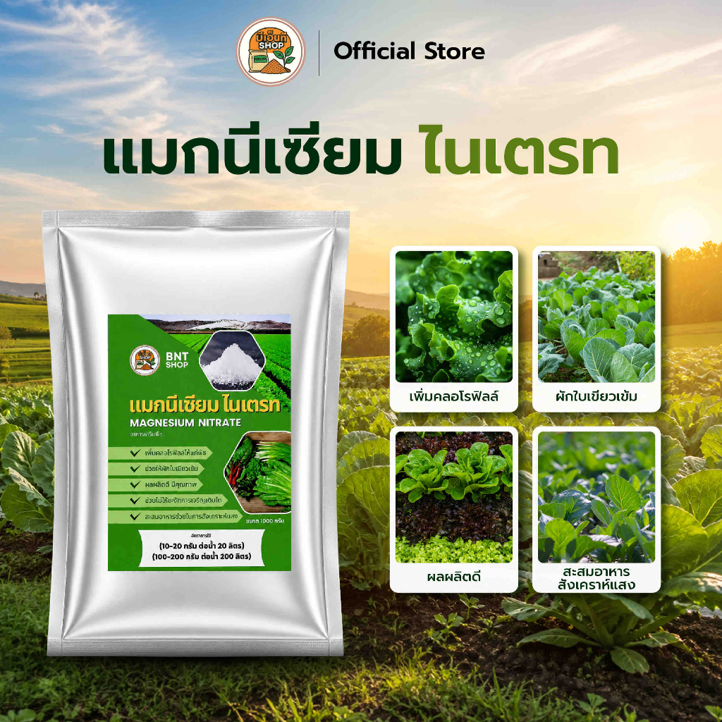 แมกนีเซียม ไนเตรท อาหารเสริมพืช ช่วยเร่งใบเขียวเข้ม ช่วยสังเคราะห์แสง เพิ่มคลอโรฟิลส์ให้แก่พืช พืชเจริญเติบโต ผลผลิตดี