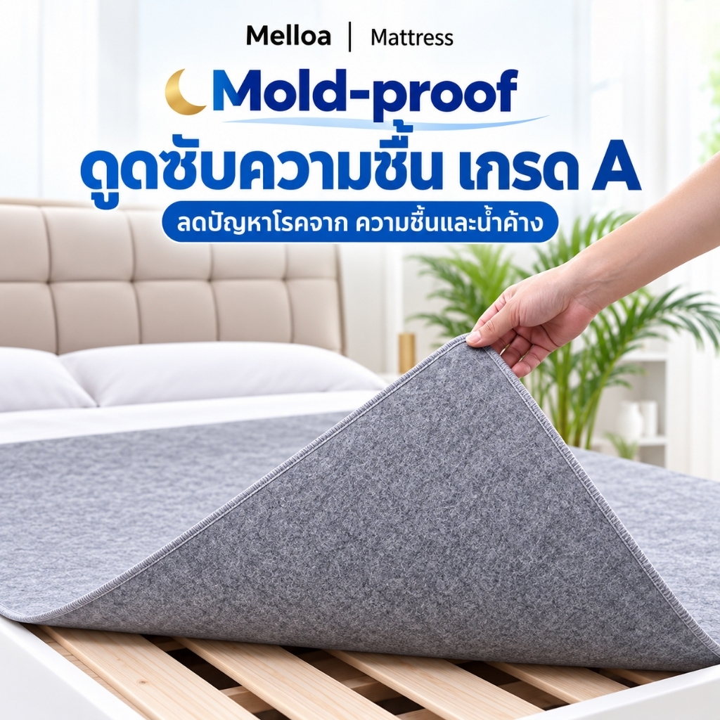 แผ่นรองกันชื้นที่นอน โรคราน้ําค้าง-Proof Felt ลดปัญหาโรคจาก ความชื้นและน้ำค้าง กันชื้น ระบายอากาศ แห้งไว