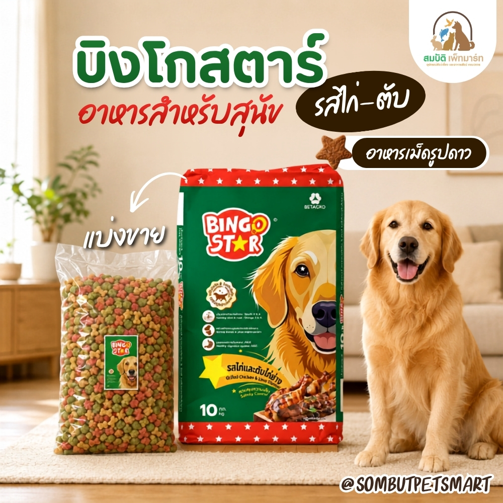 (แบ่งขาย 1กรัม) Bingo Star อาหารสุนัข รสไก่และตับ