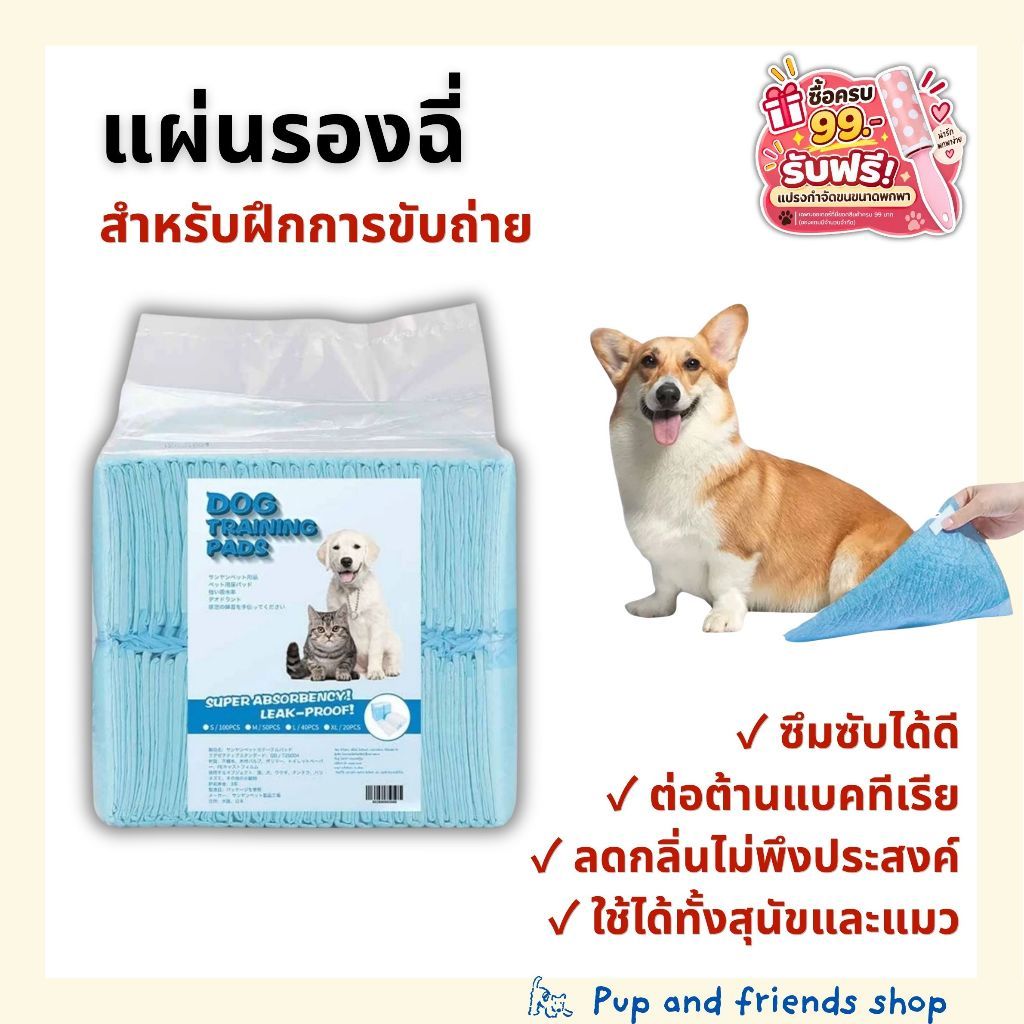 แผ่นรองฉี่สุนัข แมว ซึมซับดี ต้านแบคทีเรีย ลดกลิ่นไม่พึงประสงค์ มี 4 ไซส์ S M L XL