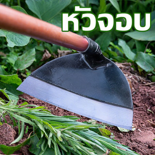 จอบ หัวจอบ จอบสวน จอบเหล็ก จอบผ่าดิน จอบขุดดิน จอบกำจัดวัชพืช มี 21ซม. 26ซม. ทนทาน