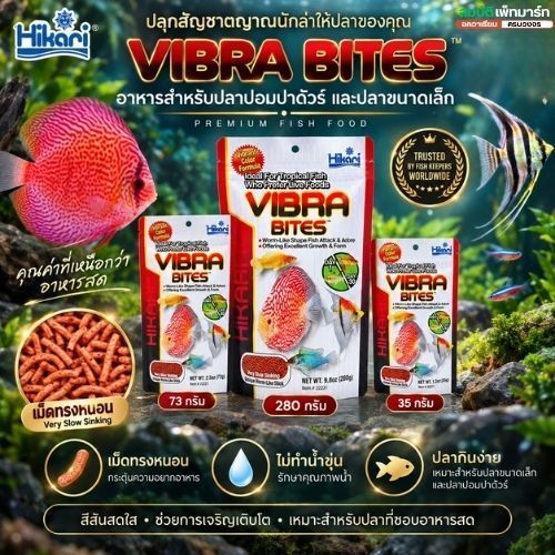 Hikari Vibra Bites อาหารปลาปอมปาดัวร์ เทวดา หมอแคระ อาหารปลากินเนื้อ เม็ดนุ่มคล้ายหนอนแดง ชนิดจมช้า
