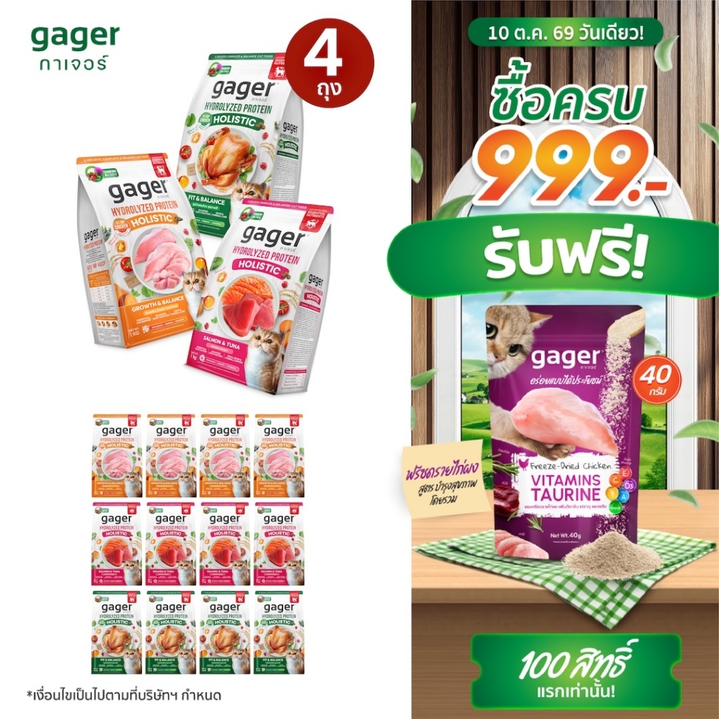 Gager طعام قطط هوليستيك 1 كغ × 4