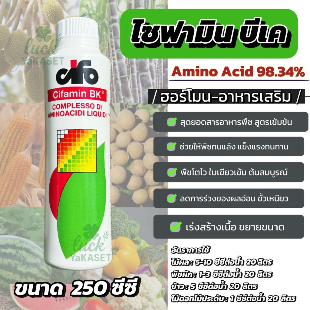 🔥ไซฟามิน บีเค 250cc 🔥 ล็อตใหม่ ✨ ฮอร์โมนเข้มข้น กระตุ้นการเจริญเติบโต ลดการหลุดร่วงของผล ฮอร์โมนขั้วเหนียว เอราวัณ