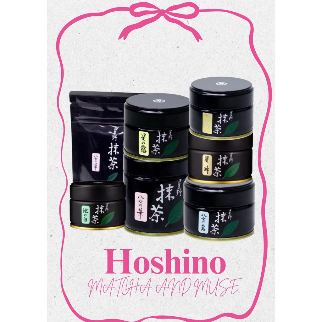[พร้อมส่ง] โฮชิโนะ Hoshino Matcha [รวมทุกตัว]