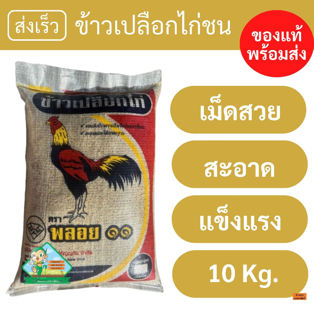 ข้าวเปลือกไก่ชน เม็ดสวย สะอาด อบแห้งแล้ว ตราพลอย๑๑ [10 กก.]
