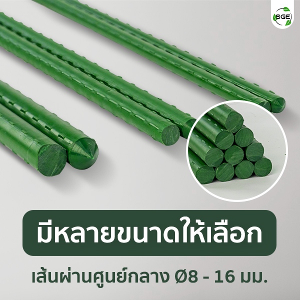 SGE เสาค้ำต้นไม้ ไม้ค้ำต้นไม้ ไม้ค้ำยันต้นไม้ รุ่น GSP ท่อเหล็กเคลือบ กันน้ำ กันสนิม แพ็ค 5 ชิ้น - รูปที่ 6