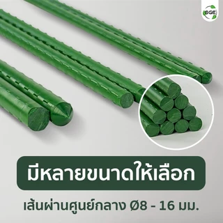 ไม้ค้ำต้นไม้ เสาค้ำต้นไม้ รุ่น GSP สำหรับไม้เลื้อย ค้ำยันต้นไม้ วัสดุแข็งแรงทนทาน เหล็กเคลือบ ถูกสุด