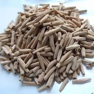 10 เมล็ด ชวนชม ลั่นทมยะวา คละสีแฟนซี Adenium Seeds