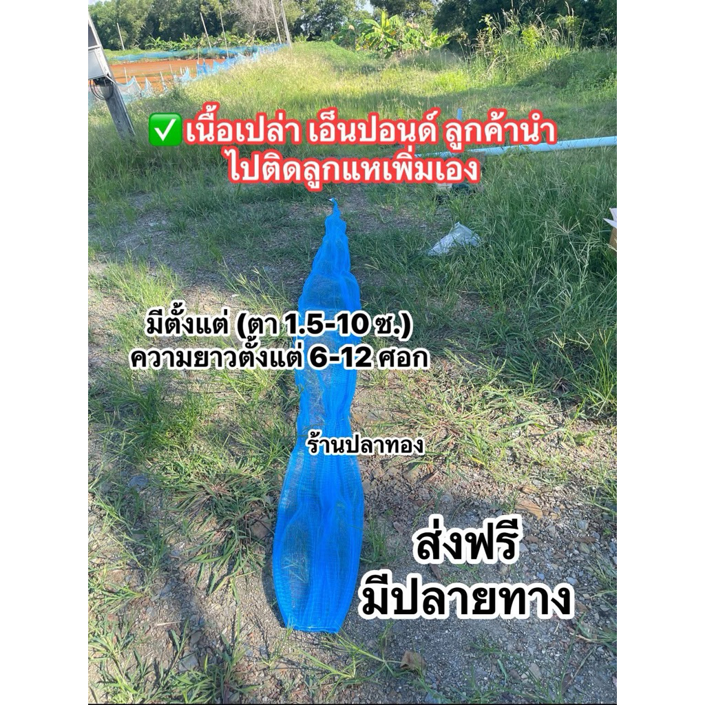 เนื้อแหเปล่า**เอ็นปอนด์ ลูกค้านำไปติดลูกแหเพิ่มเอง มีตั้งแต่(ตา 1.5-10 ซ.) ยาว 6-12 ศอก (คละสี)