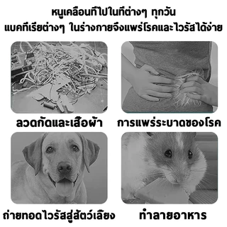 ราคาที่ดีที่สุด！10 แพ็ค！เครื่องไล่หนู ลูกเหม็นไล่หนู สมุนไพรไล่หนู ไล่หนูในรถยนต์ ยากำจัดหนู เจลไล่หนู ยาไล่หนู ก้อนไล่ห